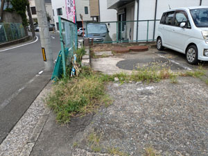 駐車場の草むしり