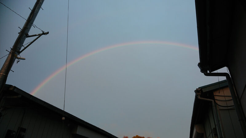 大雨の後に虹
