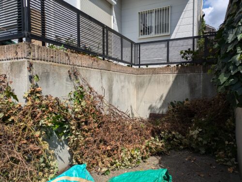 家周りの草、ツタの除草11