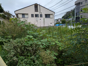 小雨の更地草刈り